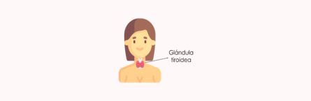 ¿Qué es el tiroides?