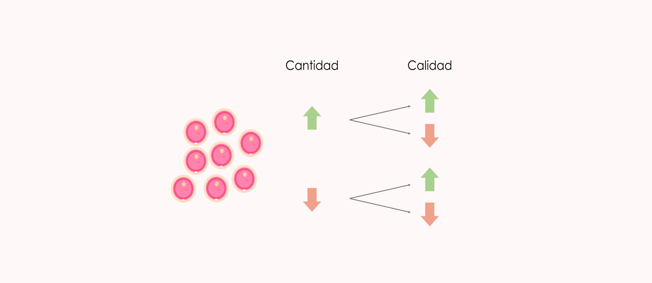 calidad o cantidad de los óvulos