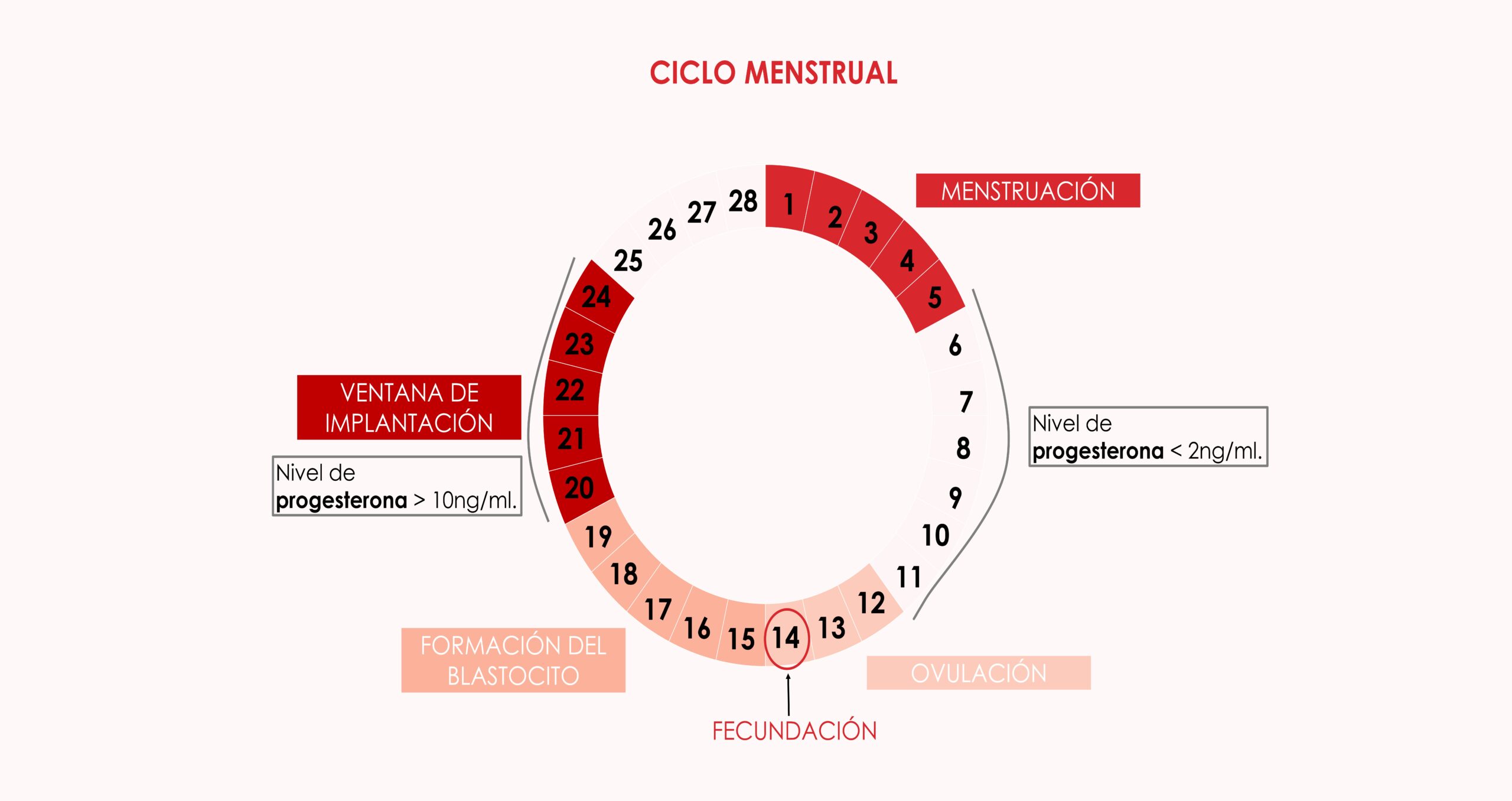 progesterona fiv embarazo