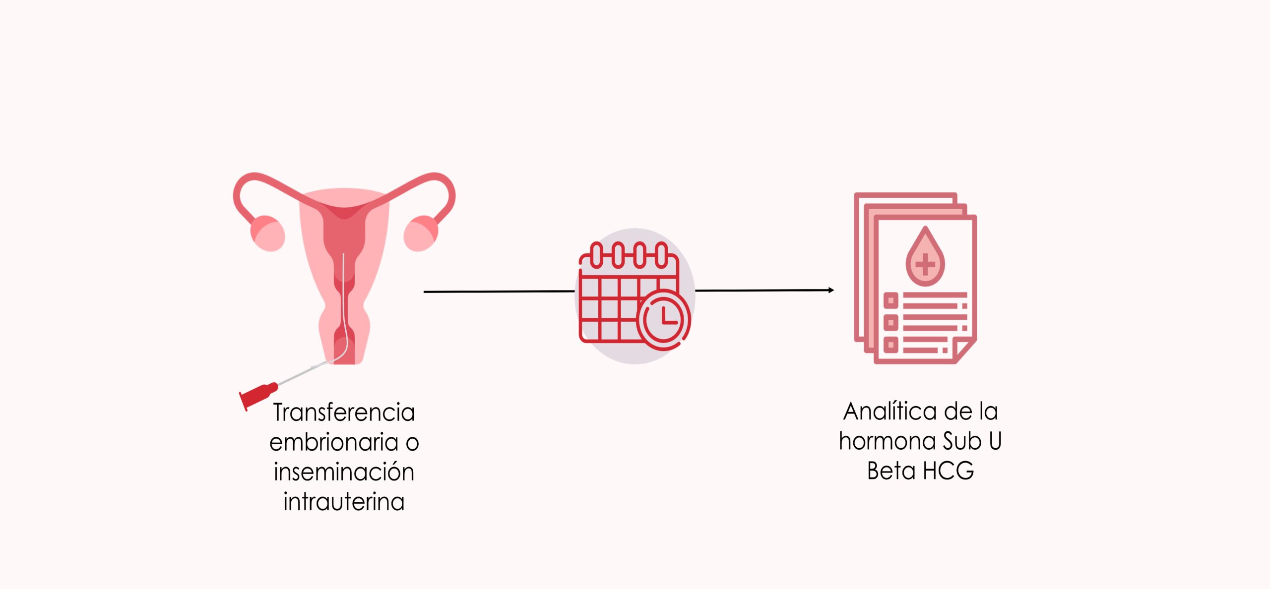 hacer-reposo-despues-de-la-fiv