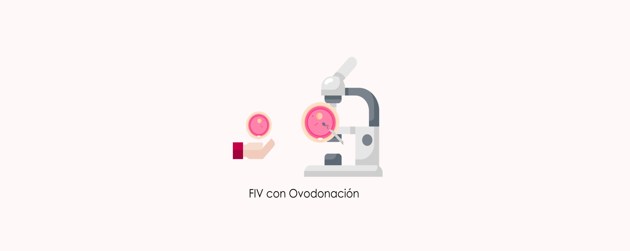 La fecundación in vitro con óvulos donados es una opción de tratamiento para las mujeres de edad avanzada que desean ser madres