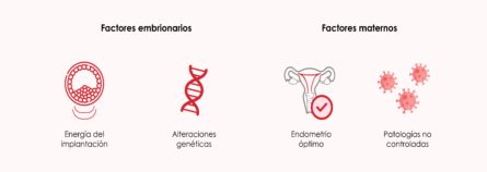 Causas de los fallos de implantación embrionaria
