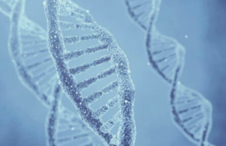¿Está recomendado el test de compatibilidad genética si se hace PGT?