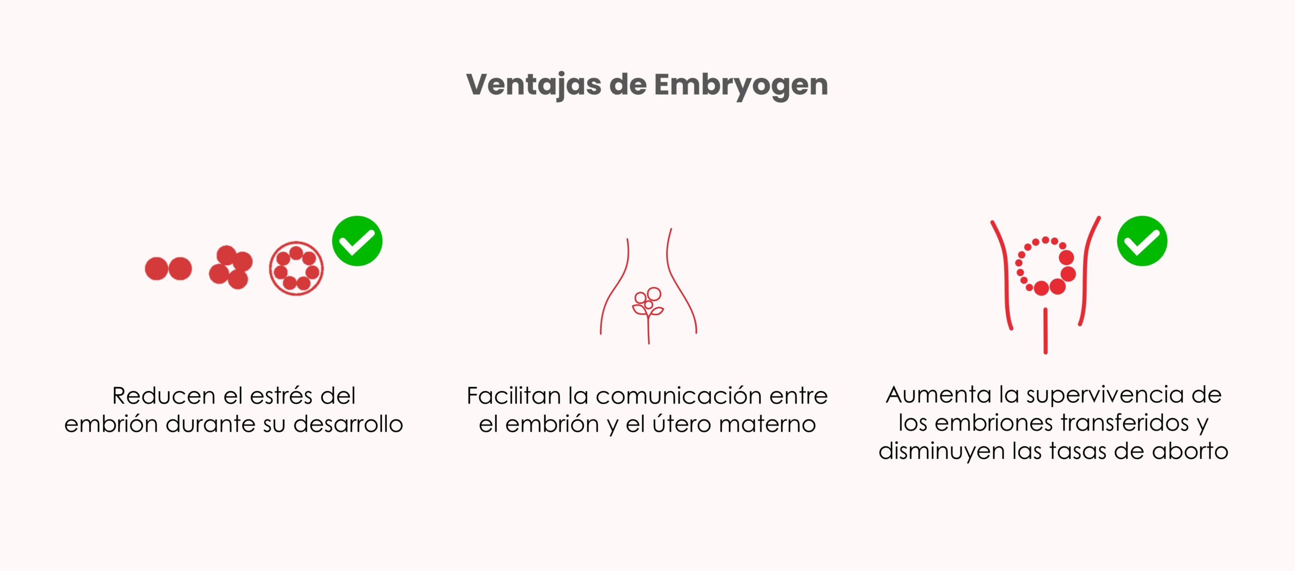 Ventajas de usar Embryogen en el cultivo embrionario