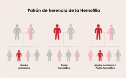 Patrón de herencia de la hemofilia