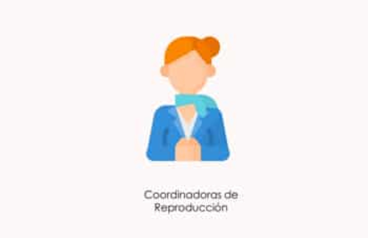 La coordinadora de reproducción es fundamental durante el tratamiento de fertilidad