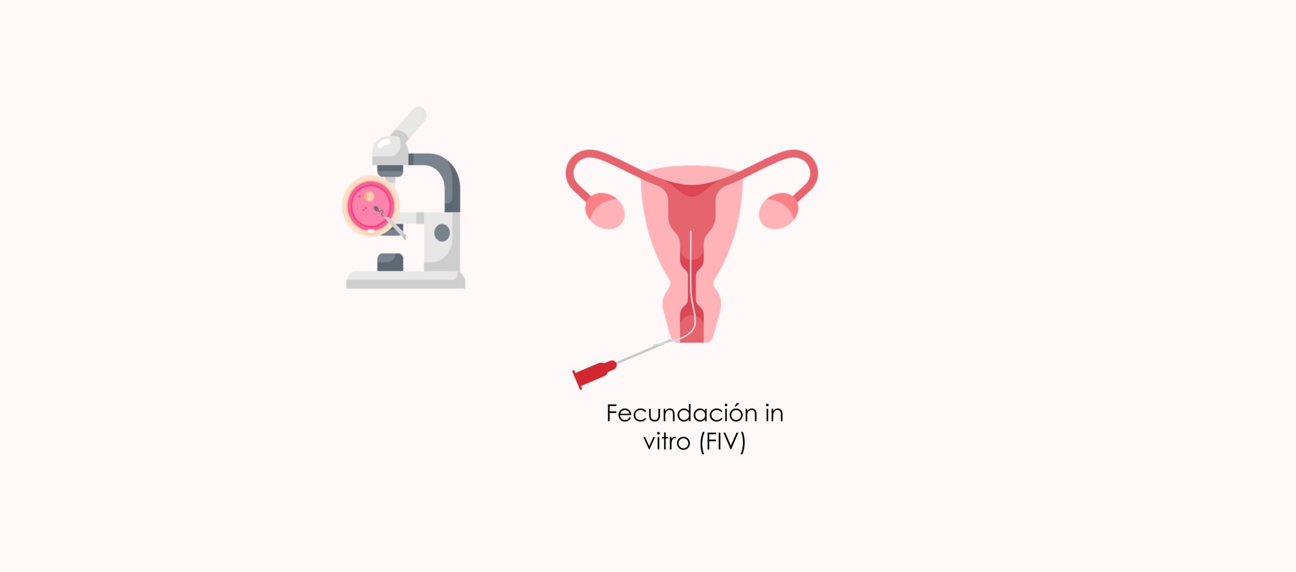 Fecundación in vitro (FIV)