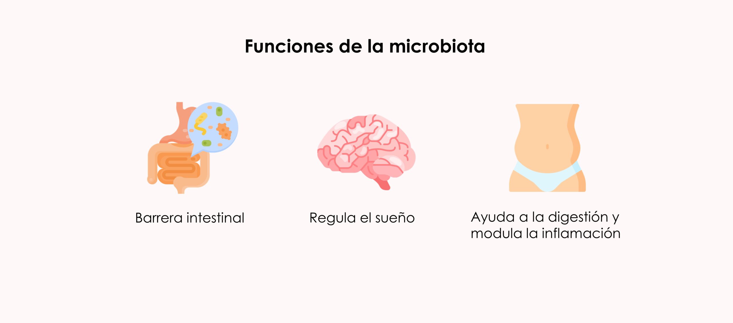 Funciones de la microbiota