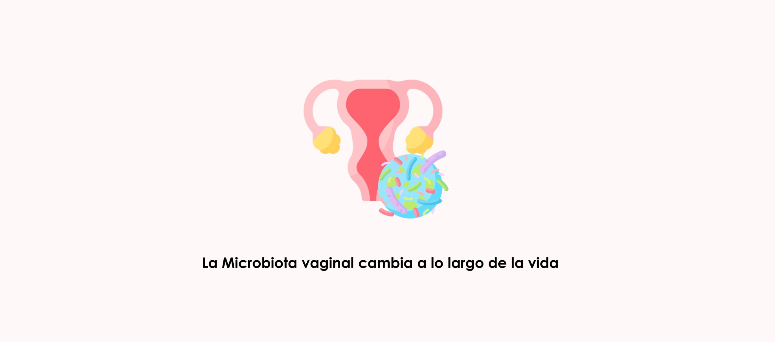 La flora vaginal o microbiota