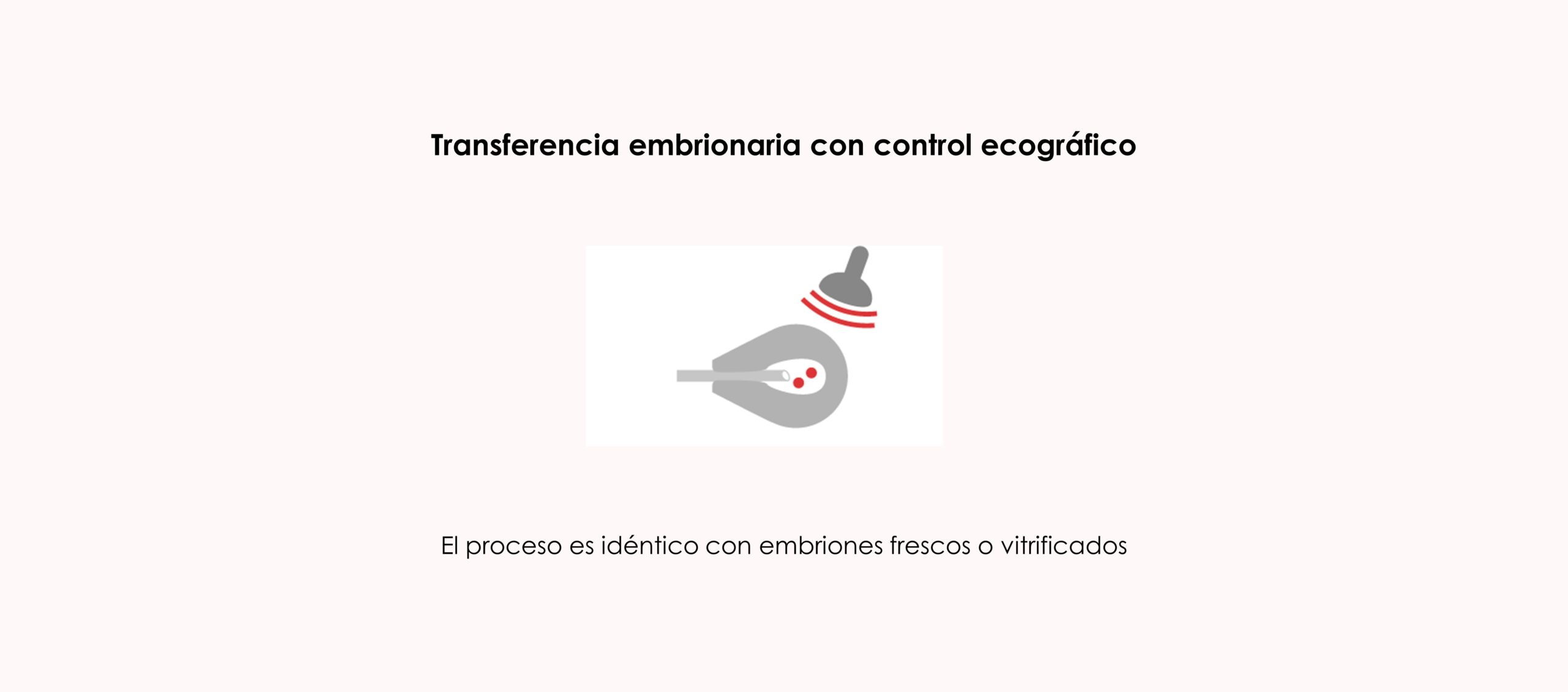 La transferencia embrionaria es idéntica con embriones en fresco o vitrificados