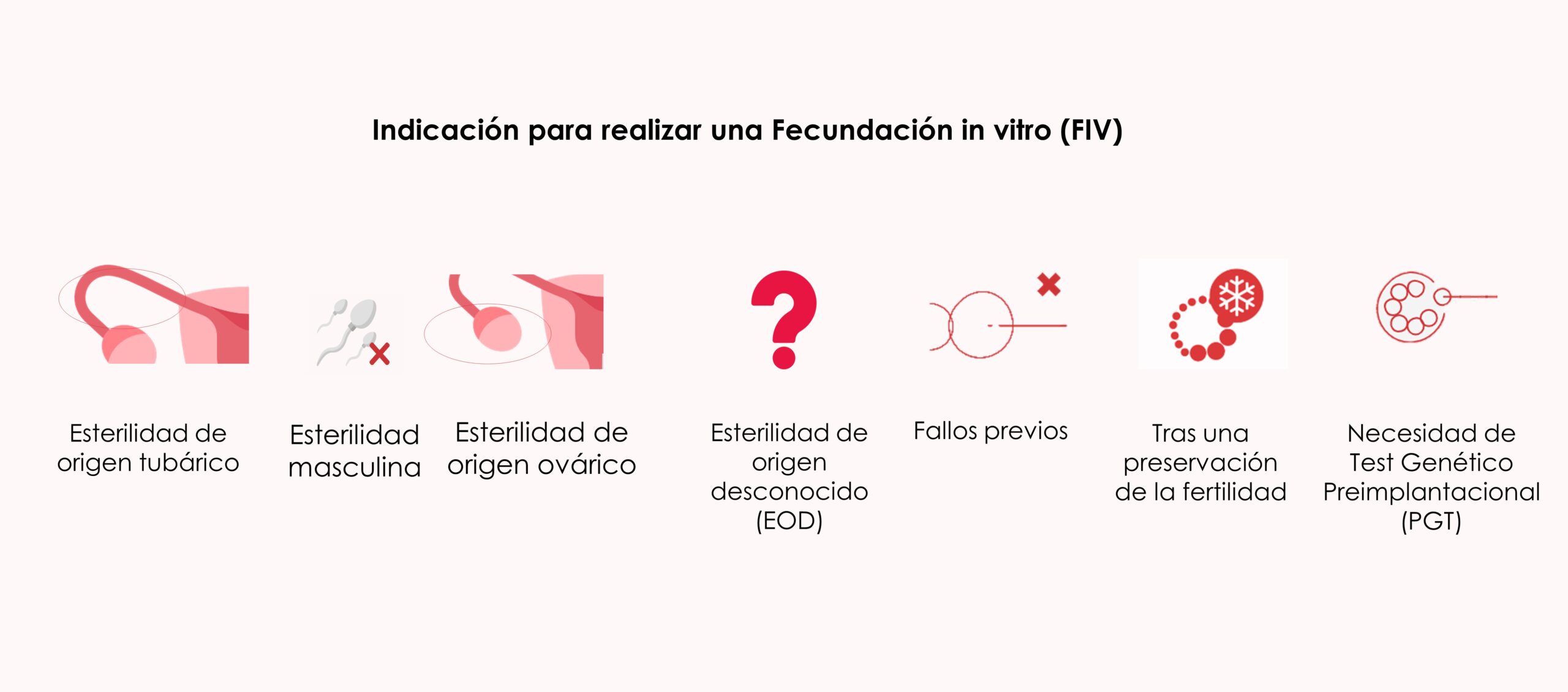 Indicaciones para realizar una Fecundación in vitro (FIV)