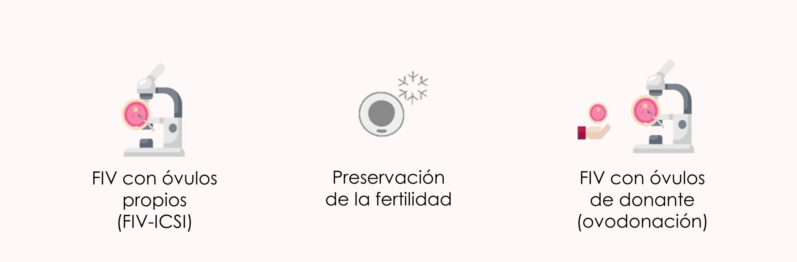 Amenorrea y embarazo por reproducción asistida