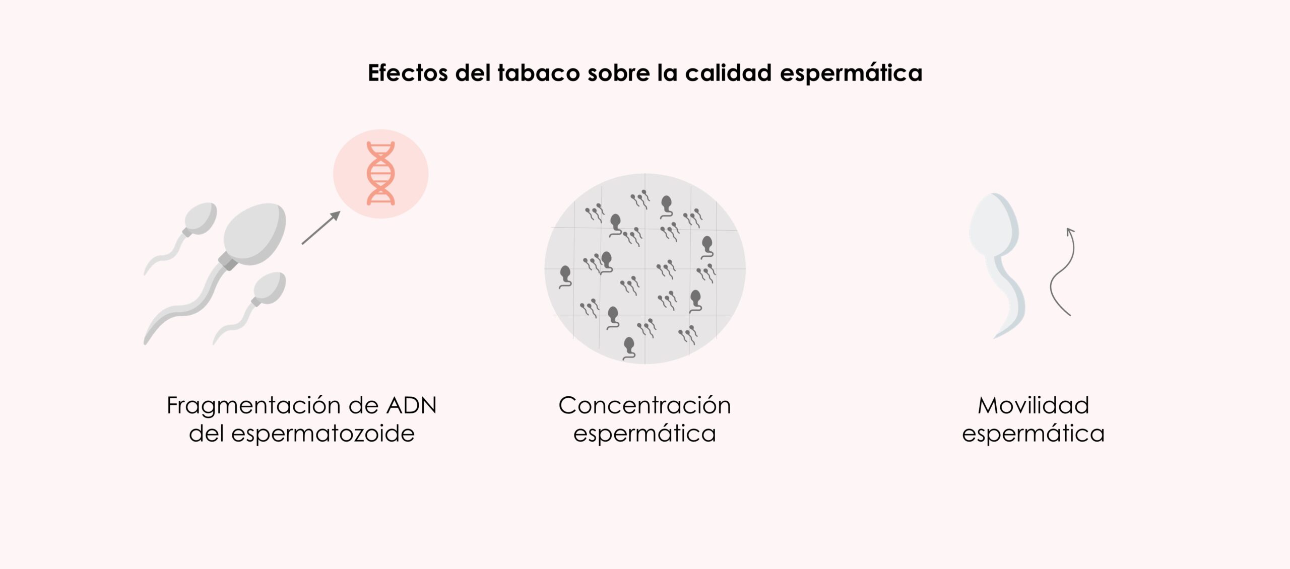 Consecuencia del consumo de tabaco sobre la calidad seminal