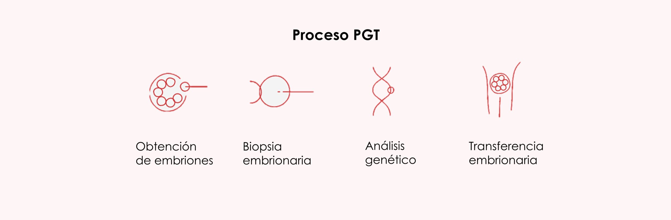 Pasos del test genético preimplantacional