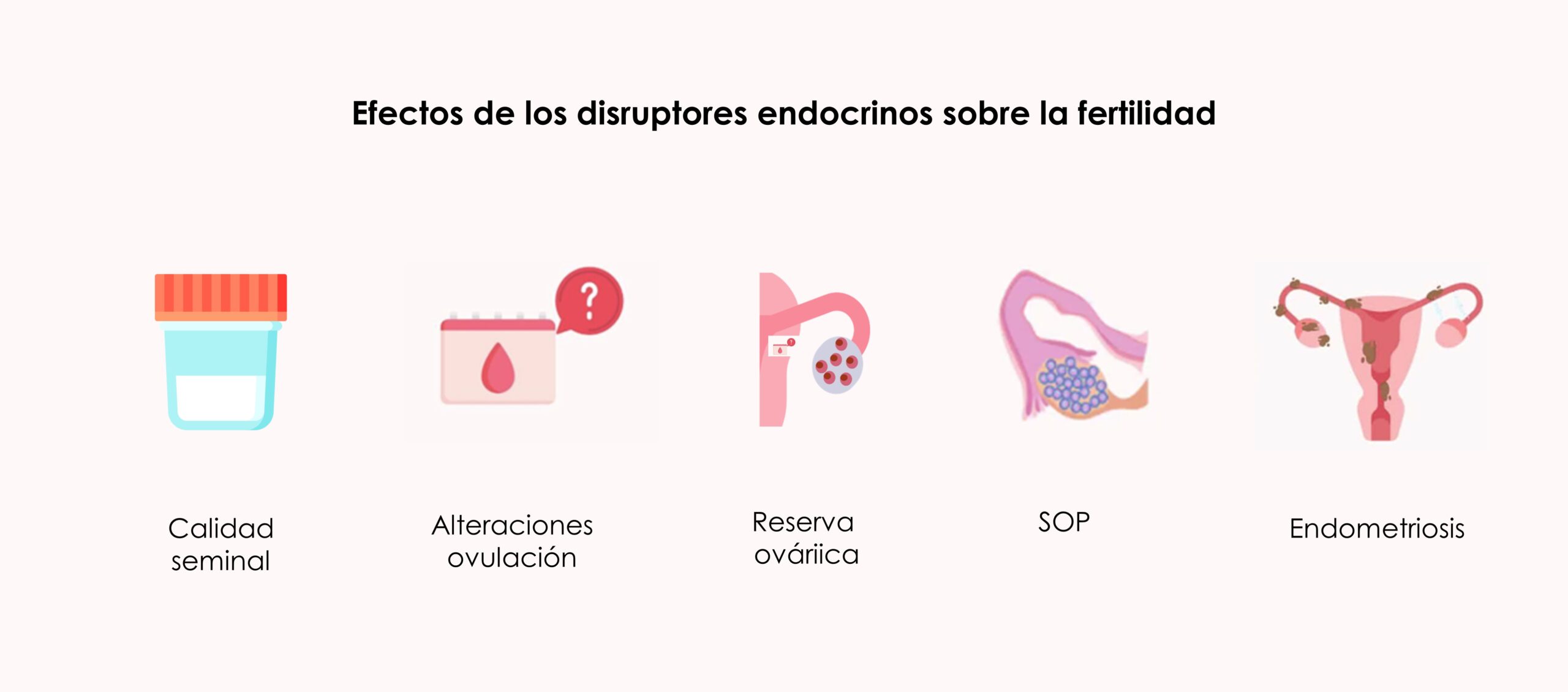 Efectos de los disruptores endocrinos sobre la fertilidad