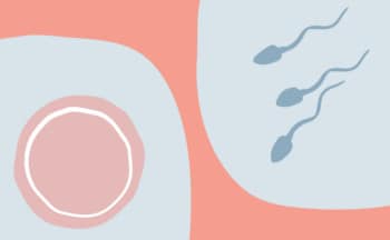 ¿Podremos tener hijos sin óvulos ni espermatozoides?