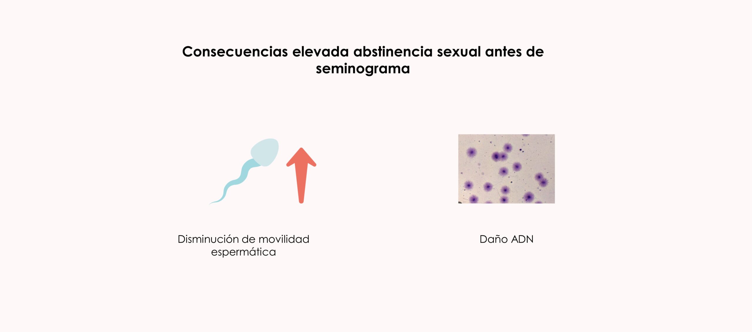 Relación abstinencia sexual-resultados seminograma