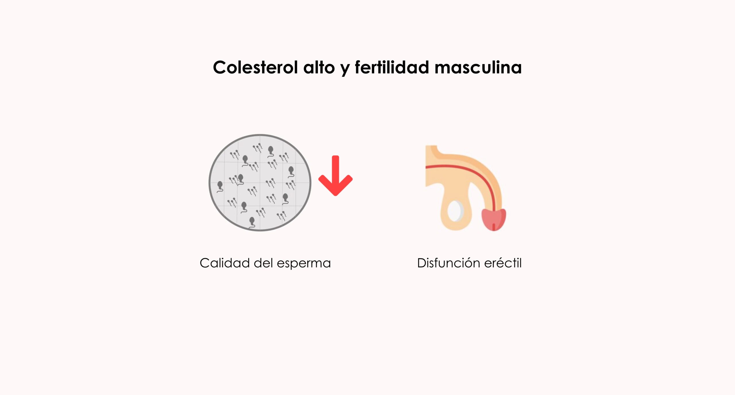 Colesterol alto y fertilidad masculina