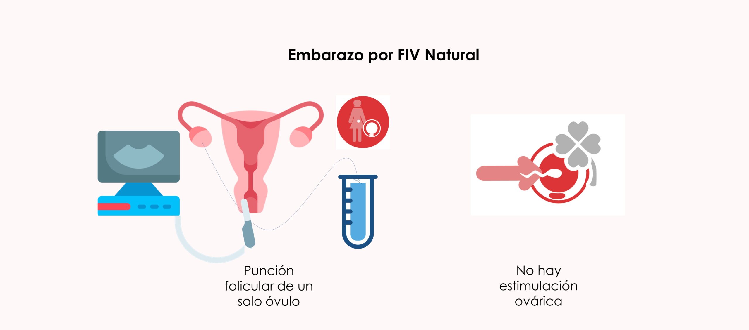 Embarazo por FIV Natural