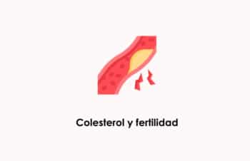 ¿Qué efectos tiene el colesterol sobre la fertilidad y el embarazo?