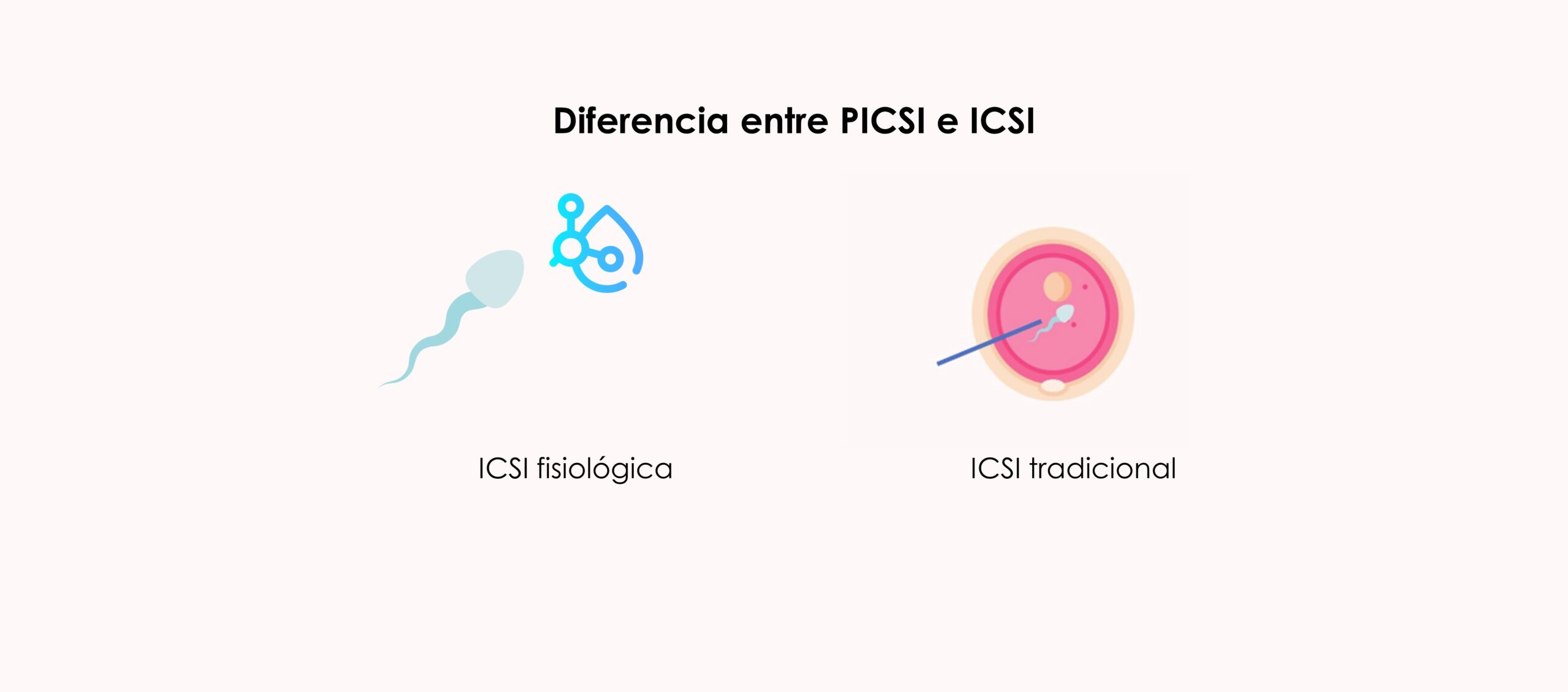 Diferencias entre ICSI convencional e ICSI fisiológico (PICSI)