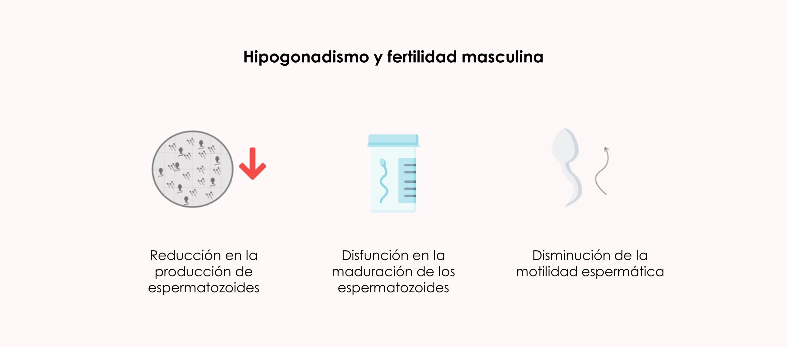 Hipogonadismo y fertilidad masculina