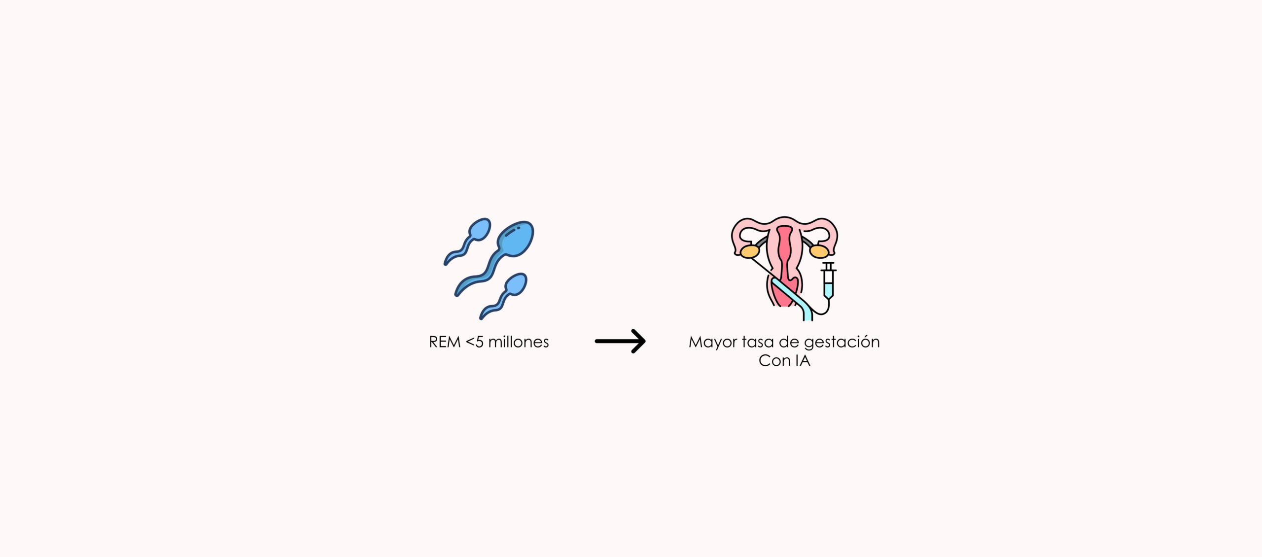 Inseminación Artificial y calidad del semen