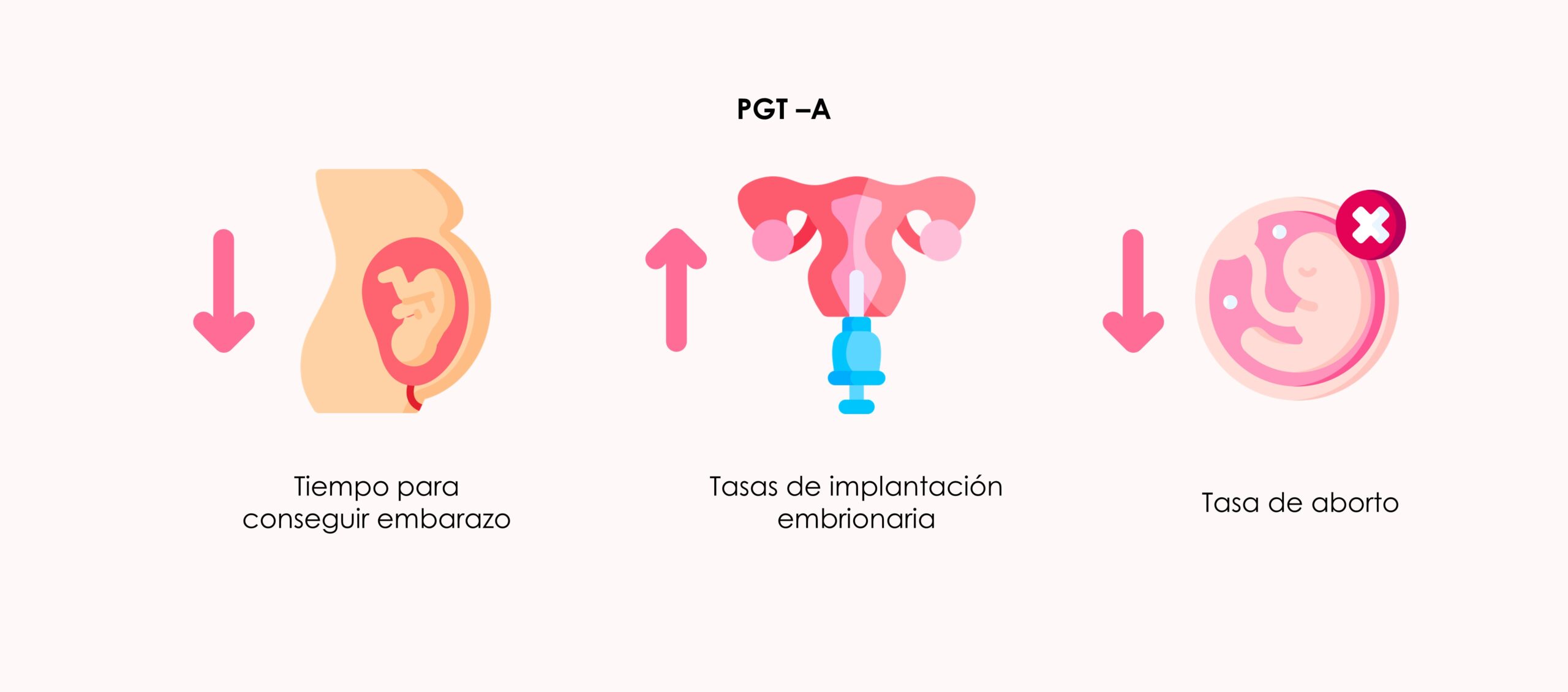 paso a paso un tratamiento de fecundación in vitro con PGT