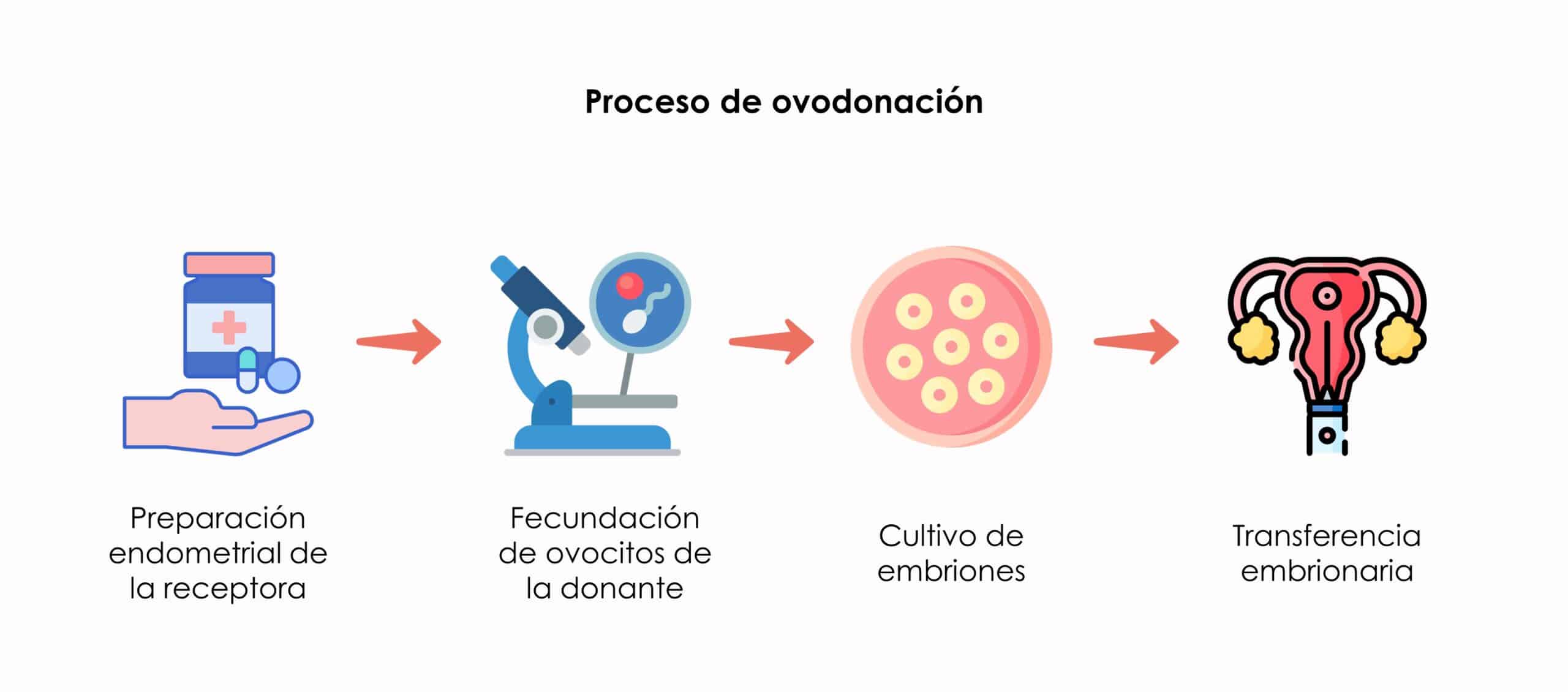 Proceso de ovodonación embarazo con óvulos de donante