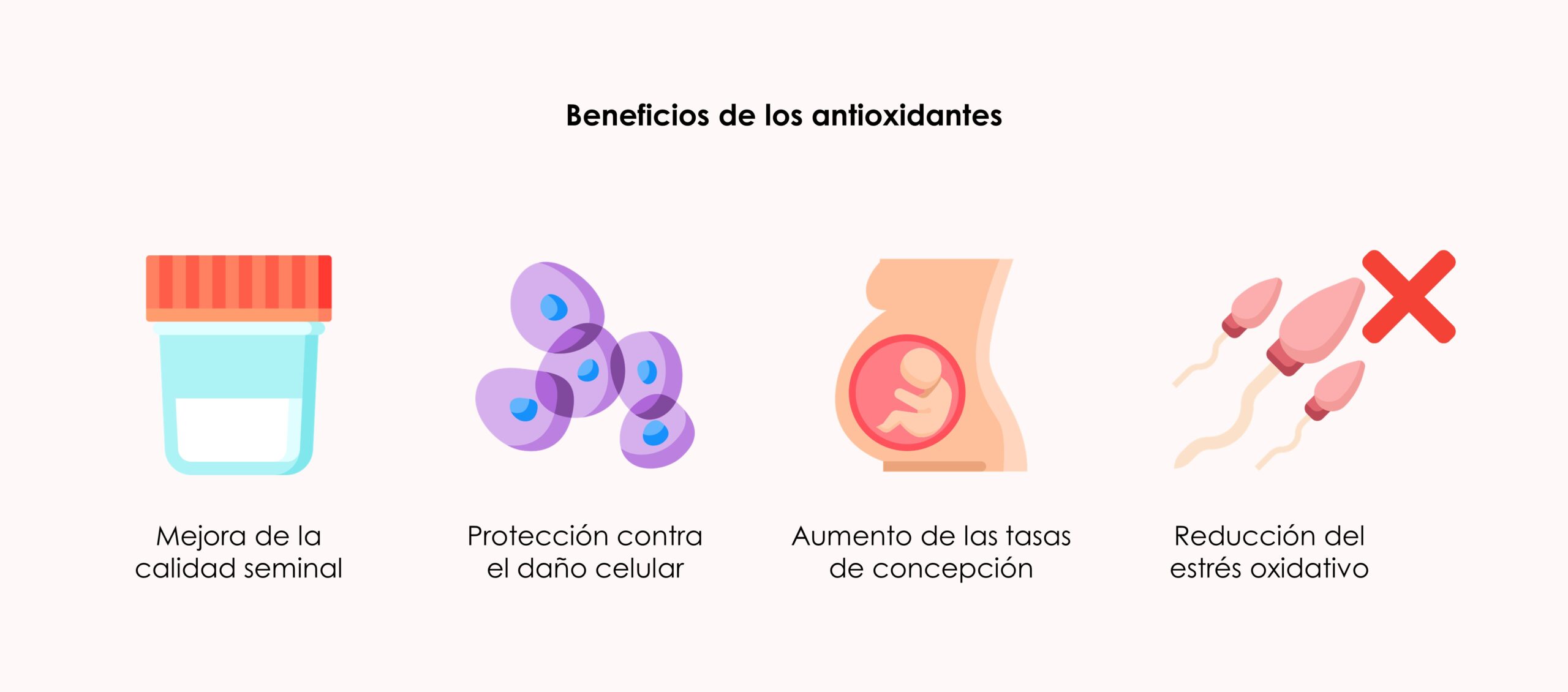 beneficios antioxidantes fertilidad