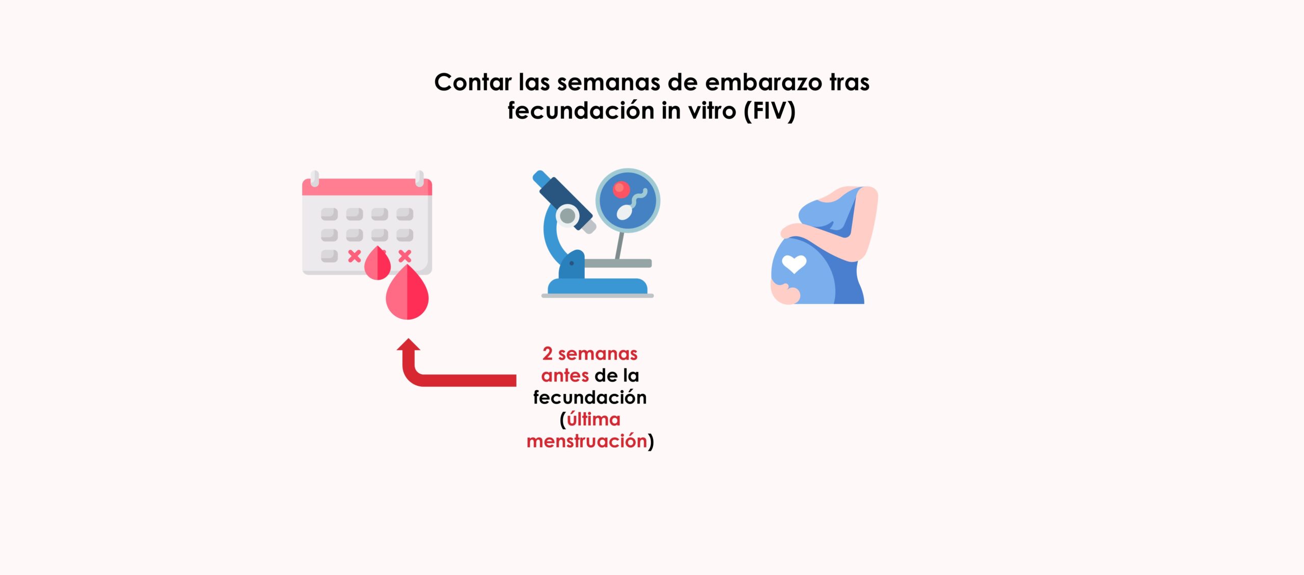 Cómo saber de cuántas semanas estás tras fecundación in vitro