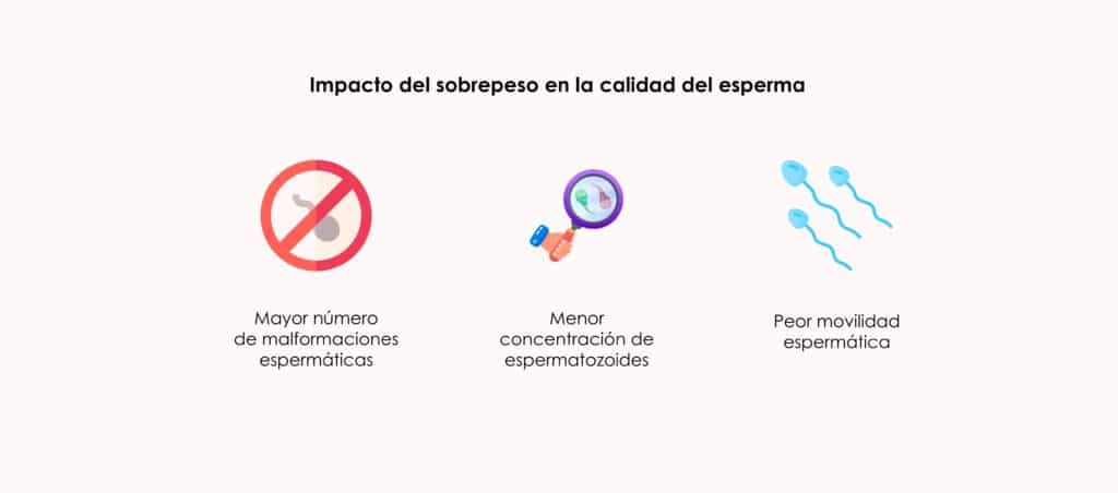 Impacto del sobrepeso en la fertilidad masculina