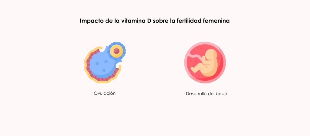Impacto de la vitamina D sobre la fertilidad