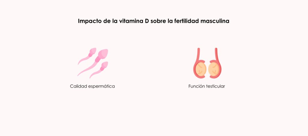 Efecto de la vitamina D sobre la fertilidad masculina