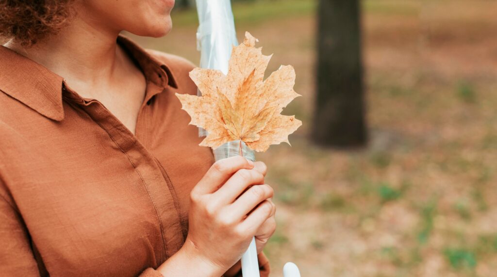 Otoño y reproducción asistida