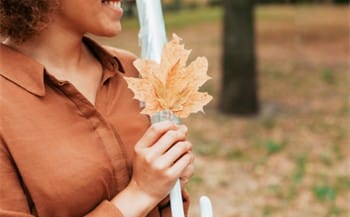 Otoño y Reproducción asistida
