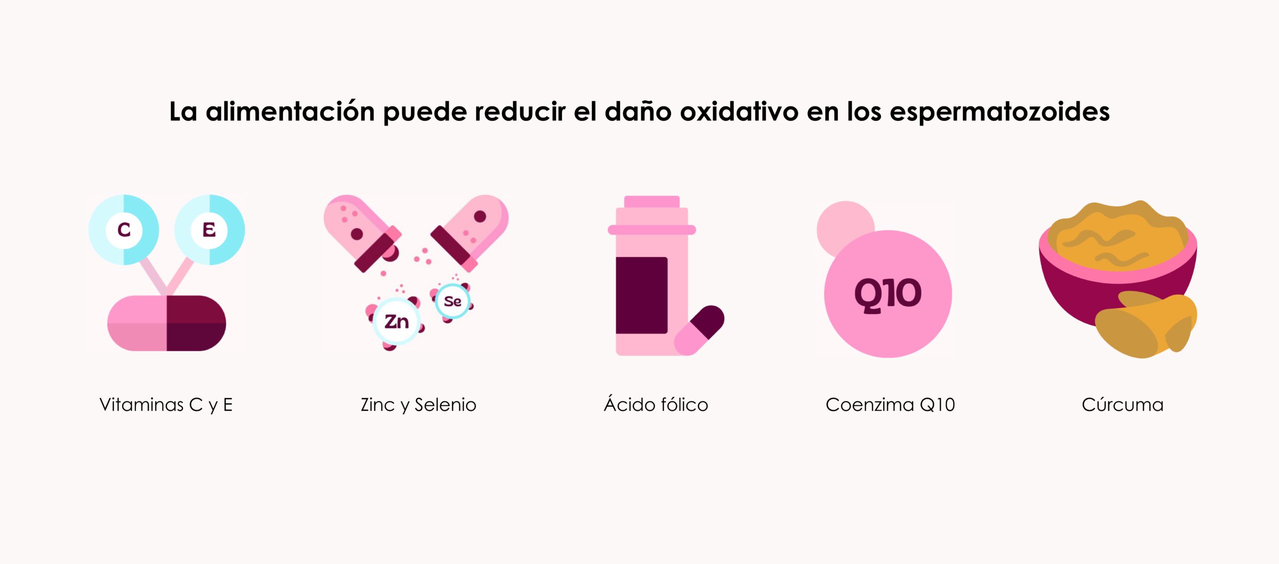 La alimentación puede reducir el daño oxidativo en los espermatozoides