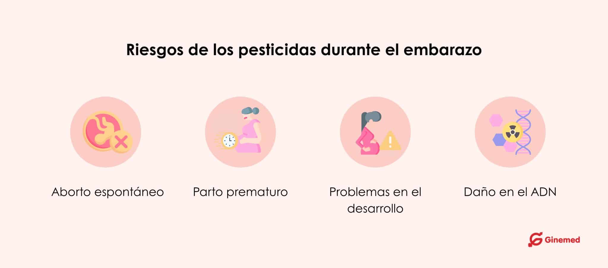 Infografías sobre los posibles riésgos de la exposición a pesticidas drante un embarazo