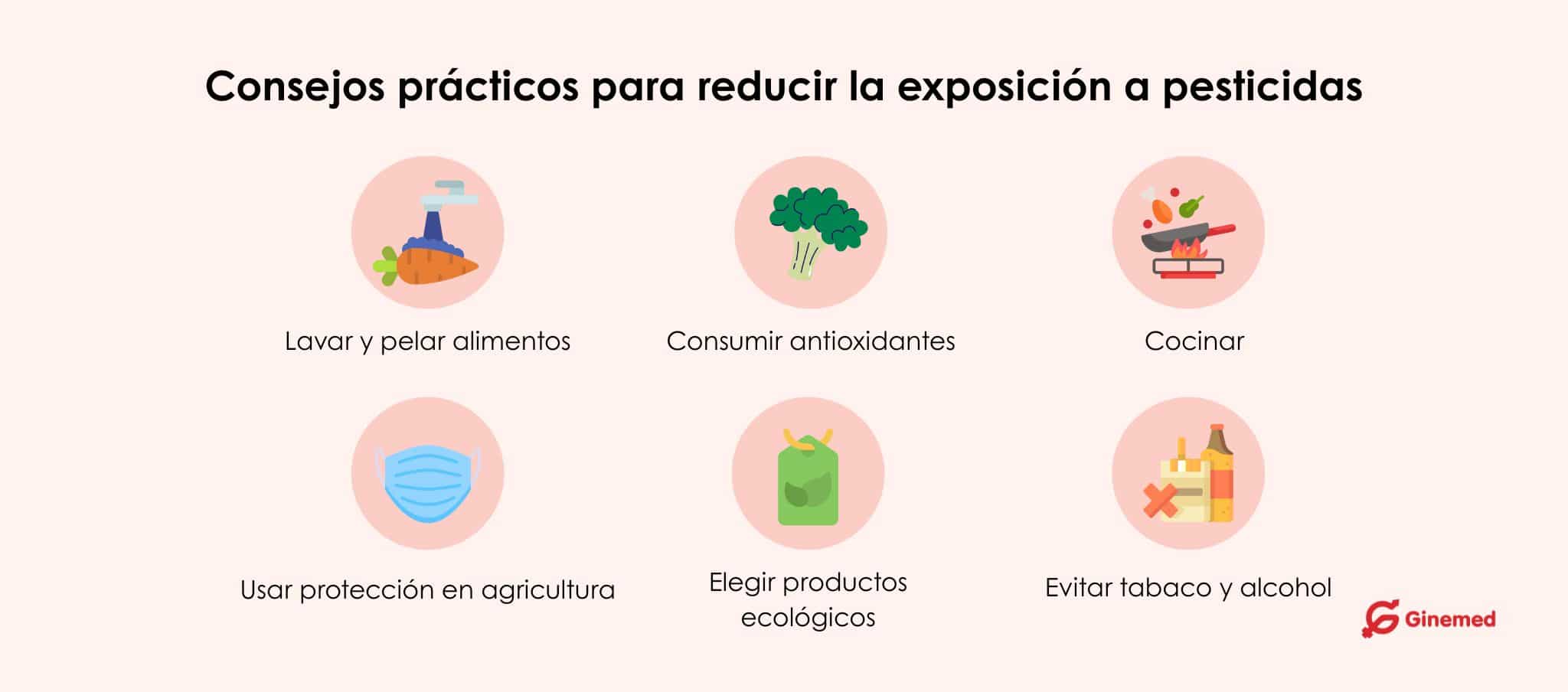 Infografía sobre consejos para reducir la exposición a pesticidas y cuidar la fertilidad masculina y femenina