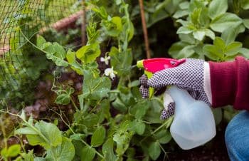 Imagen sobre el impacto de los pesticidas en la fertilidad y salud reproductiva de hombres y mujeres