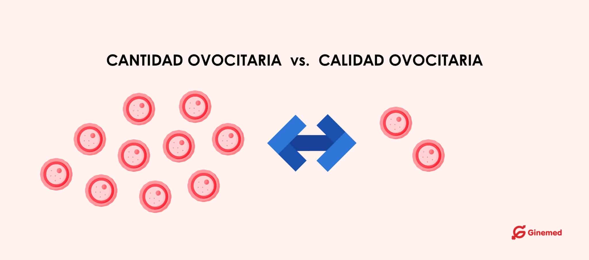 ¿Cuál es la diferencia entre calidad y cantidad ovocitaria?