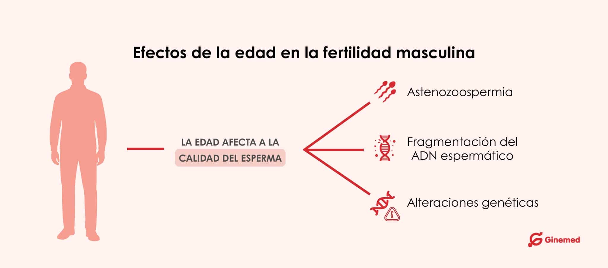 ¿Cuáles son los efectos de la edad en la fertilidad masculina?